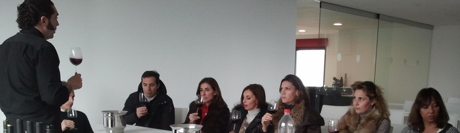 Cata de vinos